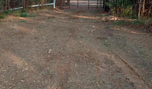 IMG_20241126_155620558_HDR