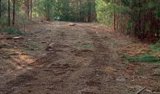 IMG_20241126_155602027_HDR