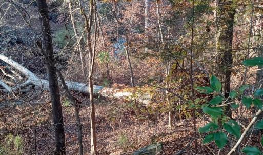 IMG_20241126_160049948_HDR