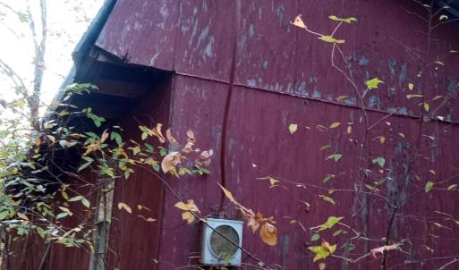 IMG_20241126_155904901