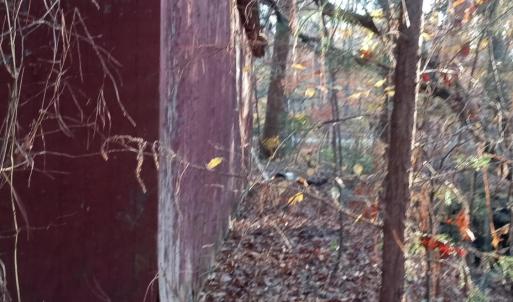 IMG_20241126_155933037