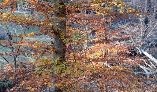 IMG_20241126_160044120_HDR