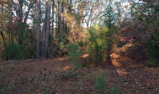 IMG_20241126_160519638