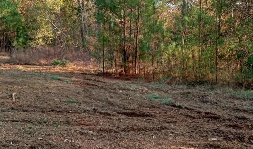 IMG_20241126_155703723_HDR