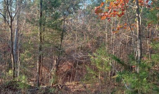 IMG_20241126_160339600_HDR