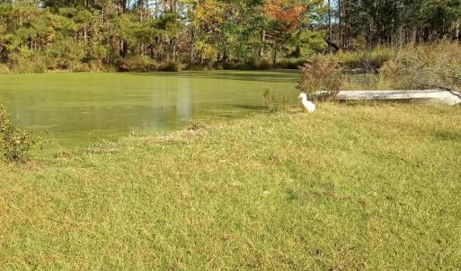 IMG_20241115_144815798