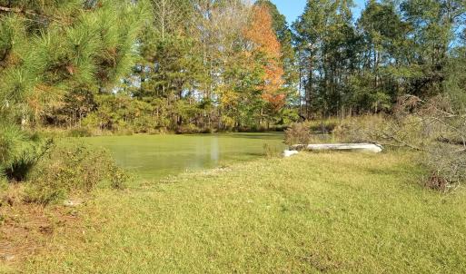 IMG_20241115_144804305