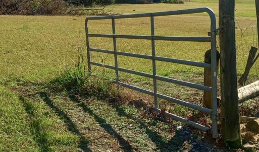 IMG_20241115_144733705_HDR