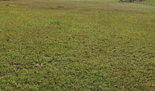 IMG_20241115_144750236_HDR