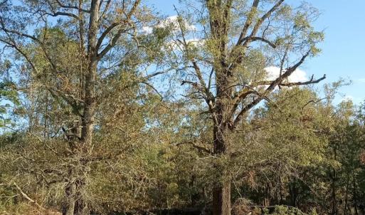 IMG_20241115_144831714