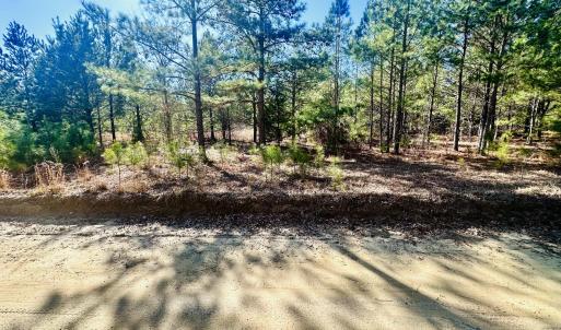 Barnwell LAnd Listing photosIMG_7527