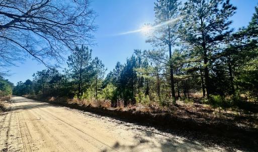 Barnwell LAnd Listing photosIMG_7524