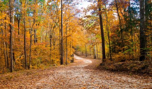 savannah-lakes-real-esate-09