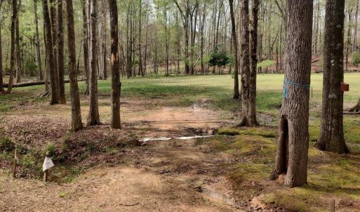 IMG_20250331_123519791_HDR