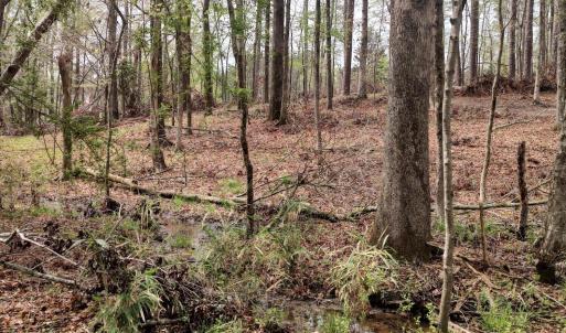 IMG_20250331_124214706_HDR