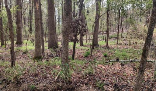 IMG_20250331_124207501_HDR