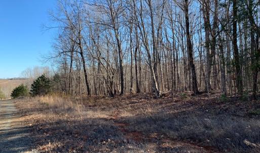 Photo #11 of 662 Birch Elmo Rd, South Boston, VA 5.7 acres