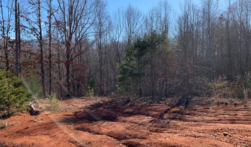 Photo #13 of 662 Birch Elmo Rd, South Boston, VA 5.7 acres