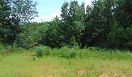 Photo #14 of 662 Birch Elmo Rd, South Boston, VA 5.7 acres