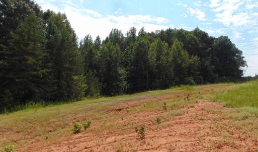 Photo #16 of 662 Birch Elmo Rd, South Boston, VA 5.7 acres