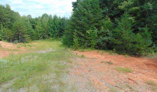 Photo #17 of 662 Birch Elmo Rd, South Boston, VA 5.7 acres