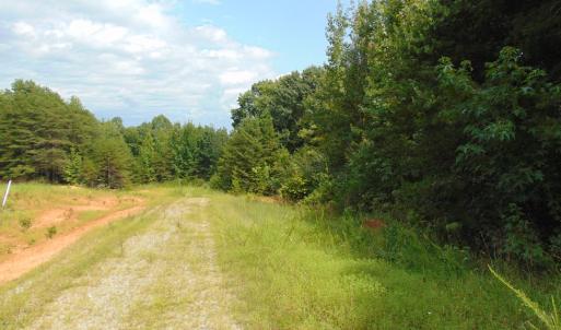 Photo #19 of 662 Birch Elmo Rd, South Boston, VA 5.7 acres