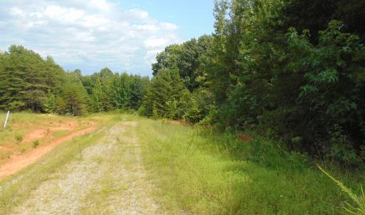 Photo #20 of 662 Birch Elmo Rd, South Boston, VA 5.7 acres