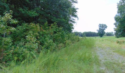 Photo #21 of 662 Birch Elmo Rd, South Boston, VA 5.7 acres