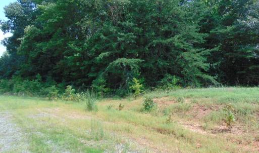 Photo #24 of 662 Birch Elmo Rd, South Boston, VA 5.7 acres