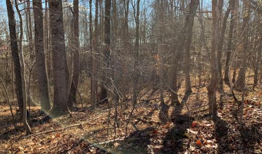 Photo #8 of 662 Birch Elmo Rd, South Boston, VA 5.7 acres