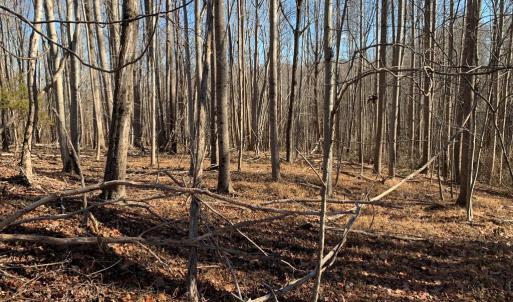 Photo #9 of 662 Birch Elmo Rd, South Boston, VA 5.7 acres