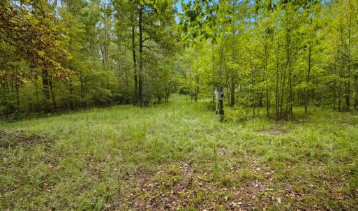 level portion of parcel