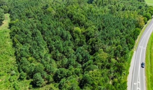 Photo #10 of Prince Edward Hwy, Rice, VA 10.9 acres