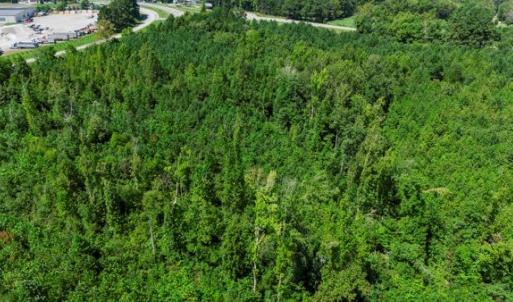 Photo #11 of Prince Edward Hwy, Rice, VA 10.9 acres