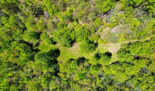 Photo #40 of Fire Trail Lane, Stuart, VA 585.0 acres
