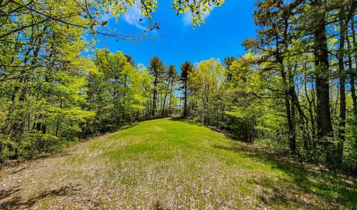 Photo #48 of Fire Trail Lane, Stuart, VA 585.0 acres