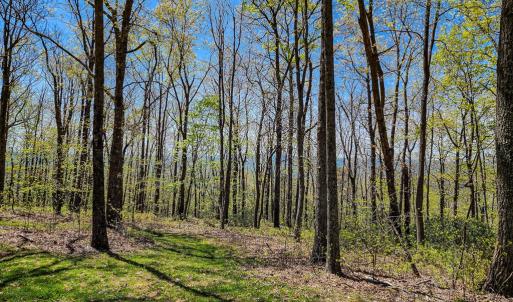 Photo #59 of Fire Trail Lane, Stuart, VA 585.0 acres