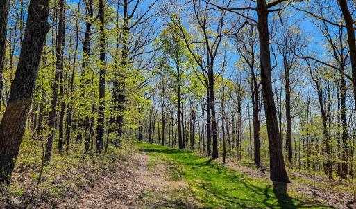 Photo #61 of Fire Trail Lane, Stuart, VA 585.0 acres