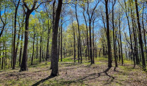 Photo #62 of Fire Trail Lane, Stuart, VA 585.0 acres