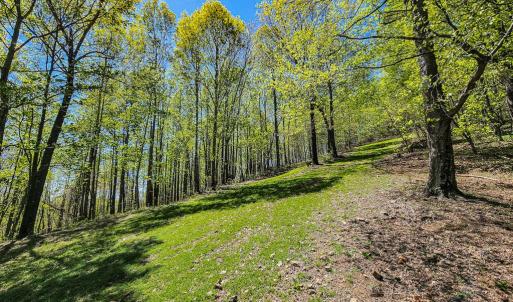 Photo #66 of Fire Trail Lane, Stuart, VA 585.0 acres
