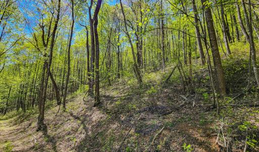 Photo #69 of Fire Trail Lane, Stuart, VA 585.0 acres