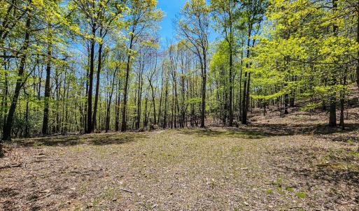 Photo #73 of Fire Trail Lane, Stuart, VA 585.0 acres