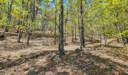 Photo #74 of Fire Trail Lane, Stuart, VA 585.0 acres