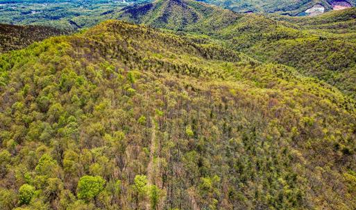 Photo #78 of Fire Trail Lane, Stuart, VA 585.0 acres