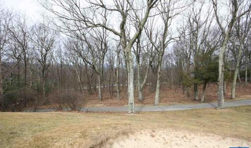 Photo #2 of 355 DEVILS KNOB LOOP, WINTERGREEN, VA 0.4 acres