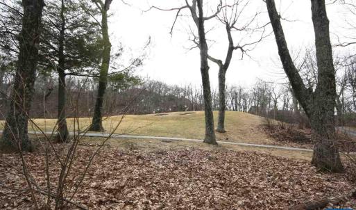 Photo #1 of 355 DEVILS KNOB LOOP, WINTERGREEN, VA 0.4 acres