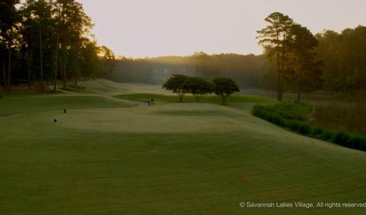 savannah-lakes-real-esate-13