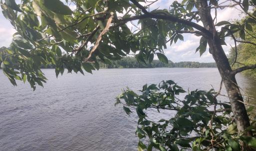 IMG_20250615_153446965_HDR