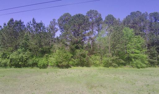 20250409213640557346000000-o