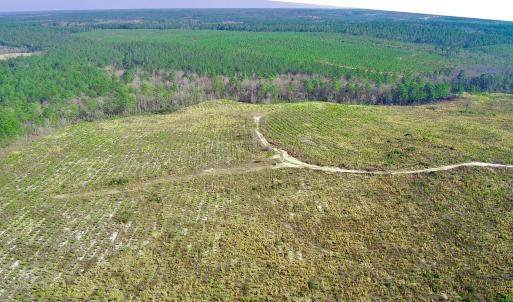 20250228143309204346000000-o